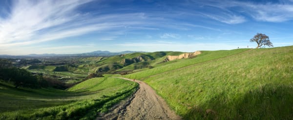 Walnut Creek's Equestrian Community: Why This Bay Area City Is One of America's Most Unique Horse Towns — and How to Finance Property There