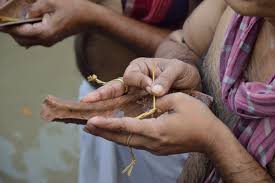 Observing Shradh in 2020