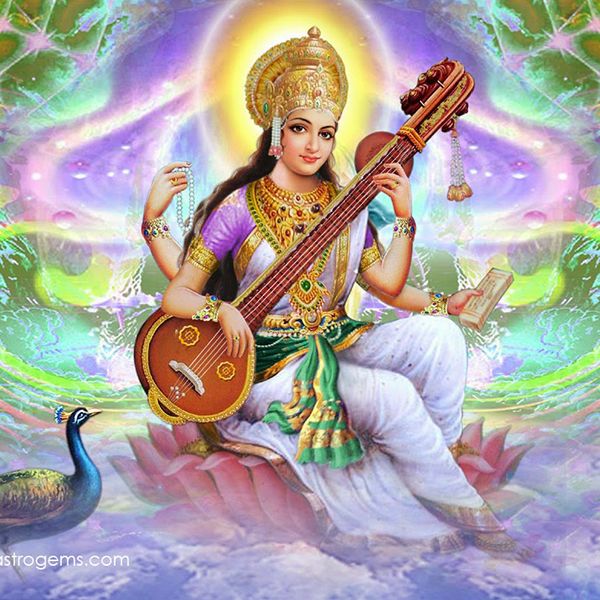 Saraswati Homam