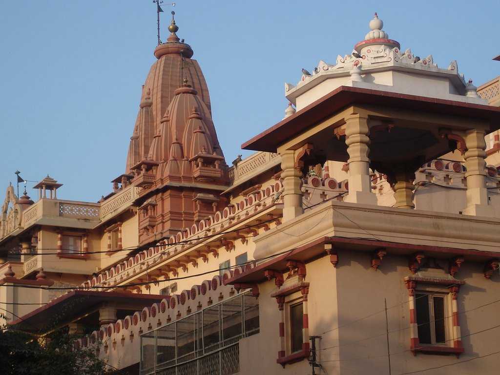 Food Donation in Mathura on Janmashtami