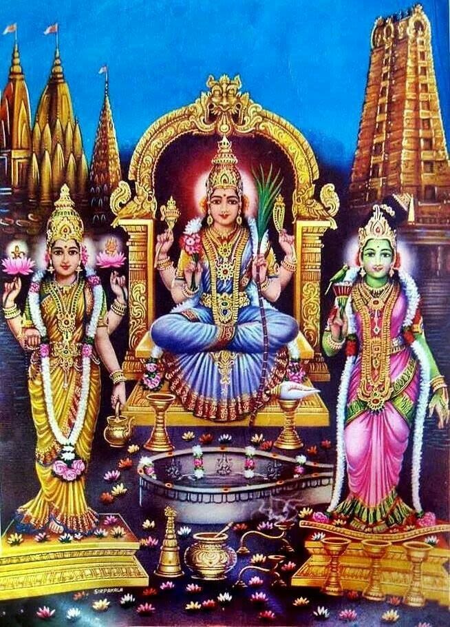 Meenakshi Devi Anushthan