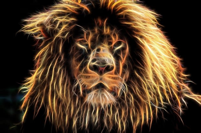 Leo Horoscope for December 2020