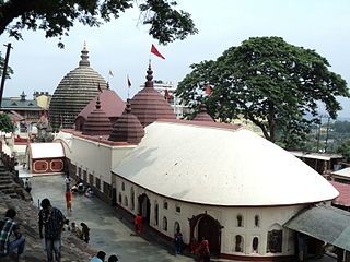 Perform puja at Kamakhya Temple for overall well-being