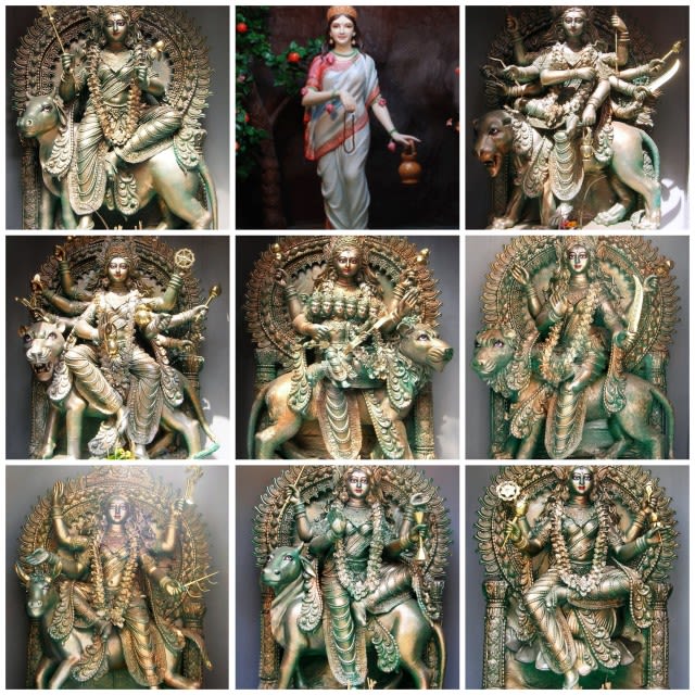 Get rid of the planetary doshas with the significant rituals of Nava Durga Homam
