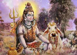  11 Shiva Panchakshara Stotra paath to Attain Divine Blessings with performing rudrabhishek to Appease Lord Shiva