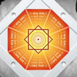 Vastu for the Joy of Life