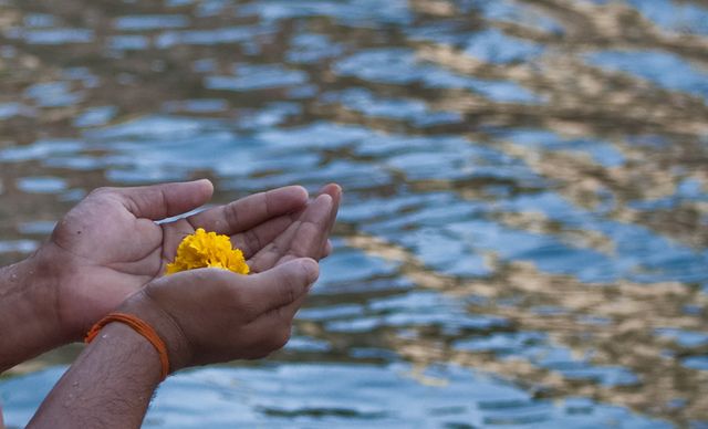 Pitradosh Nivaran Puja