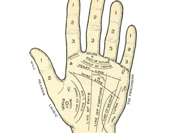 The significance of Palmistry 