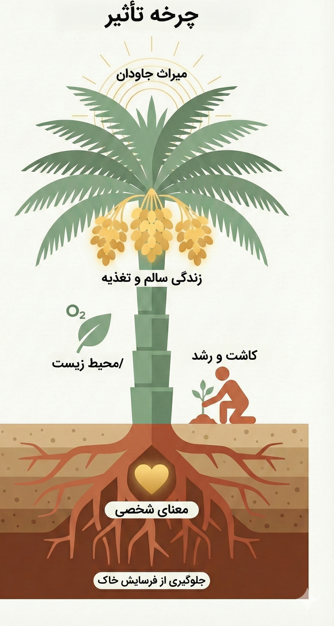 The Cycle of Impact - anatomy of a meaningful palm