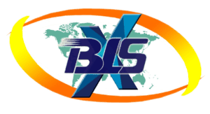 BLSX unlisted shares