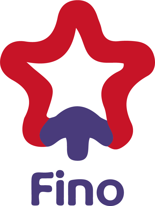 FINO PAYTECH unlisted shares