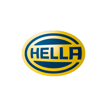HELLA INDIA LIGHTING unlisted shares