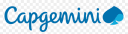 CAPGEMINI TECHNOLOGY SERVICES INDIA unlisted shares