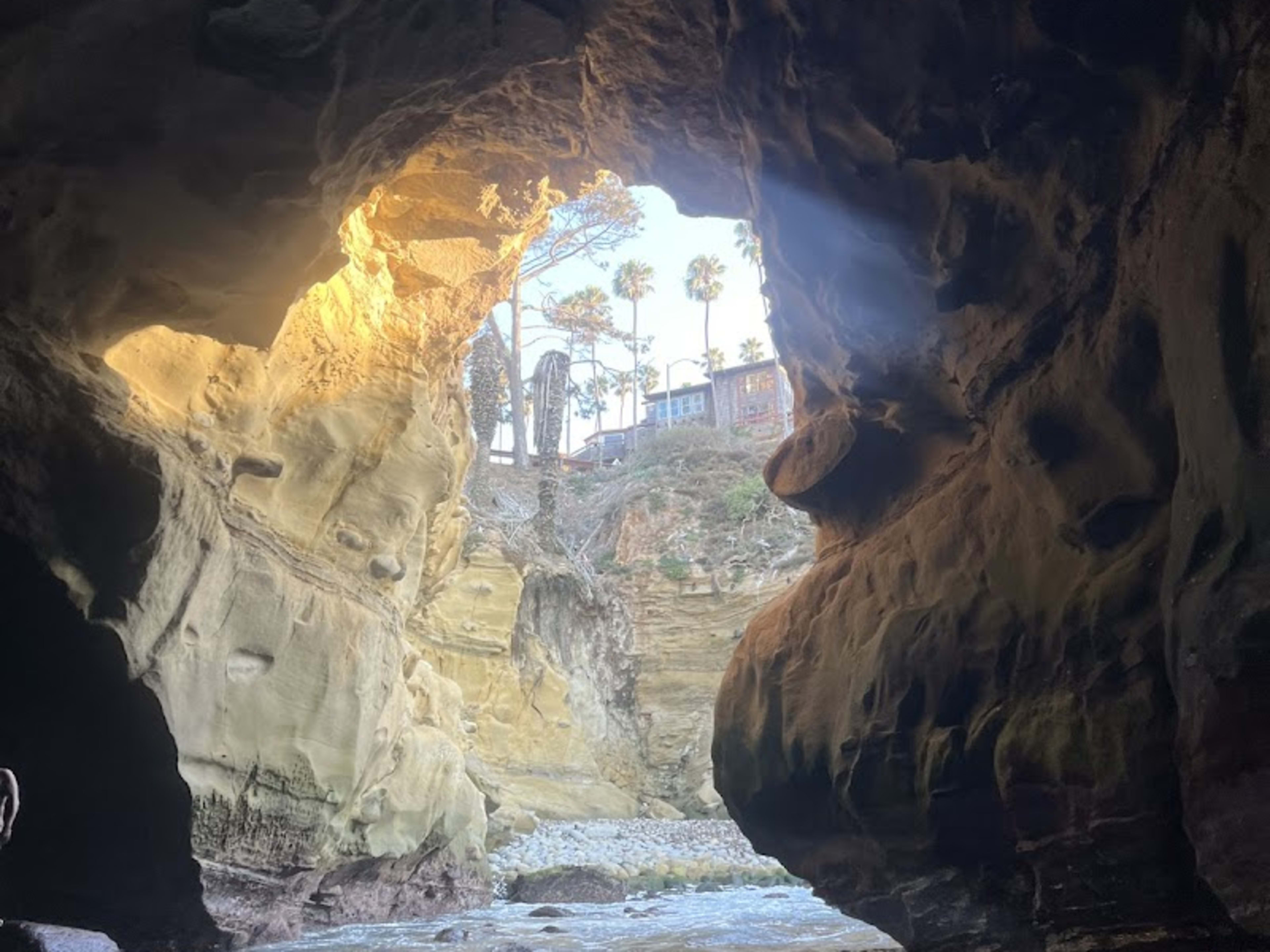 La Jolla Kayak - Photo 3