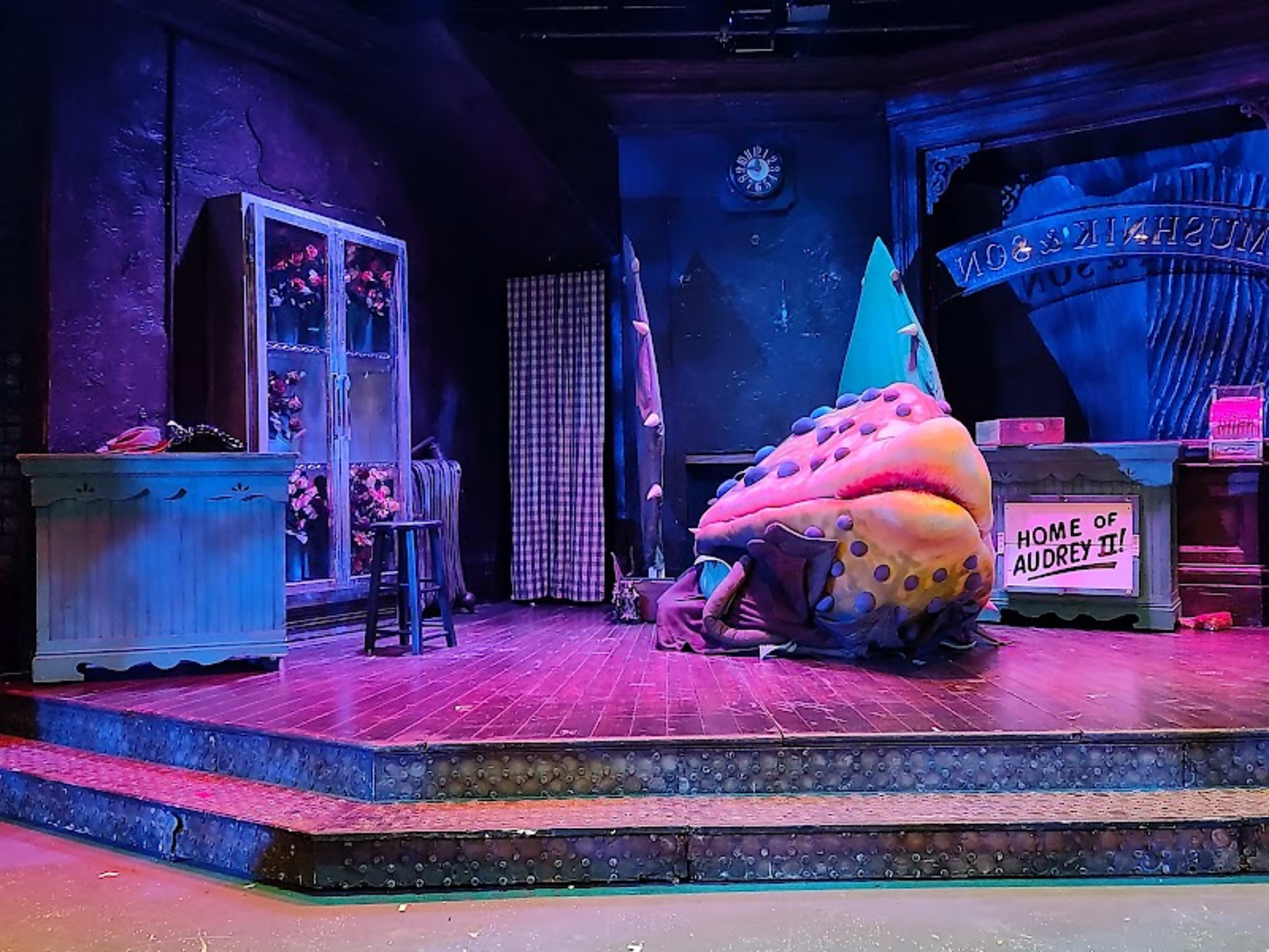 San Diego Musical Theatre - Photo 4