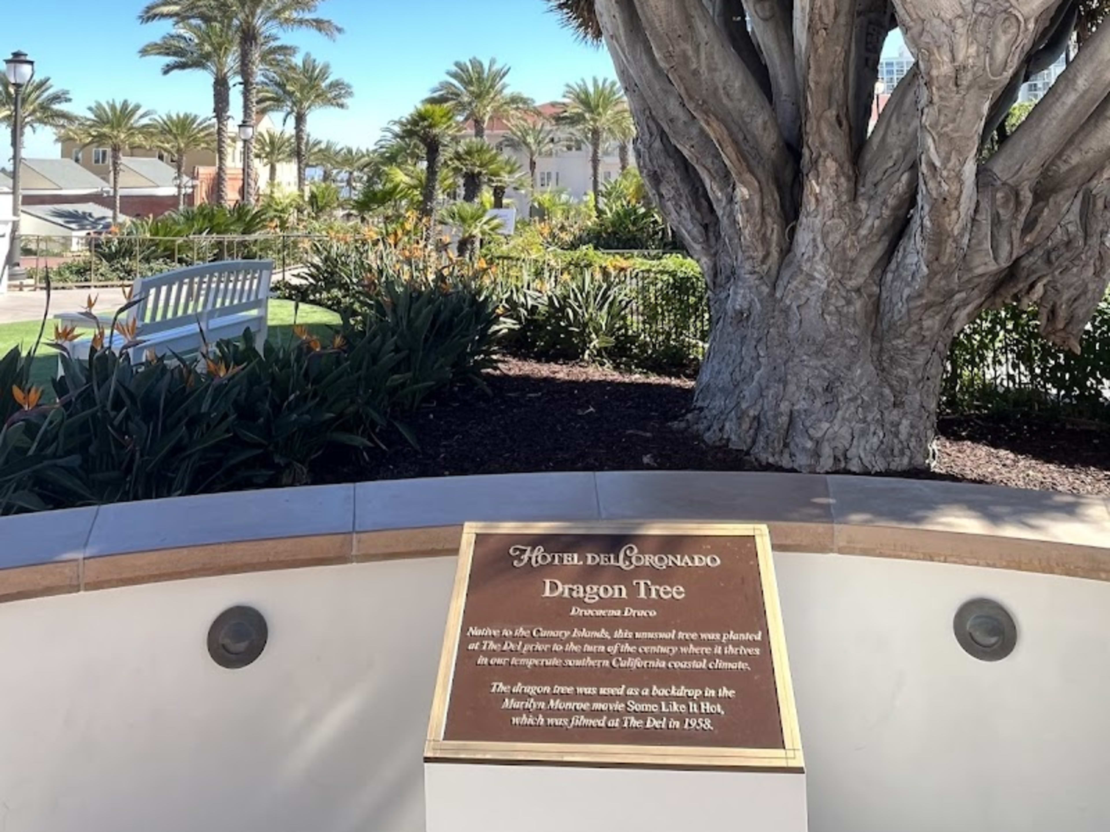 Del Coronado Hotel - Photo 9