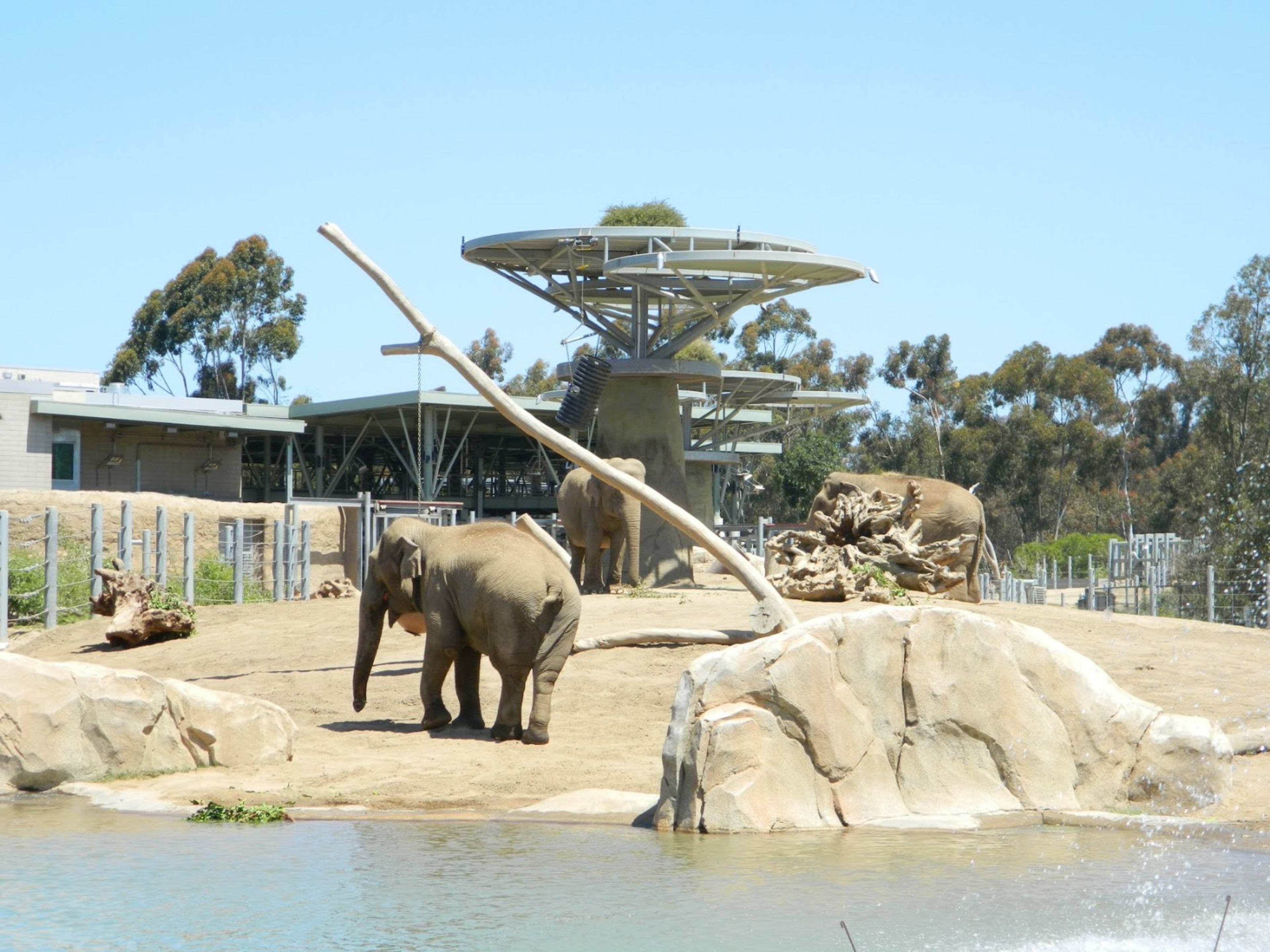 San Diego Zoo Annual Pass — Just $99 (Reg. $159) Per Person - Photo 4