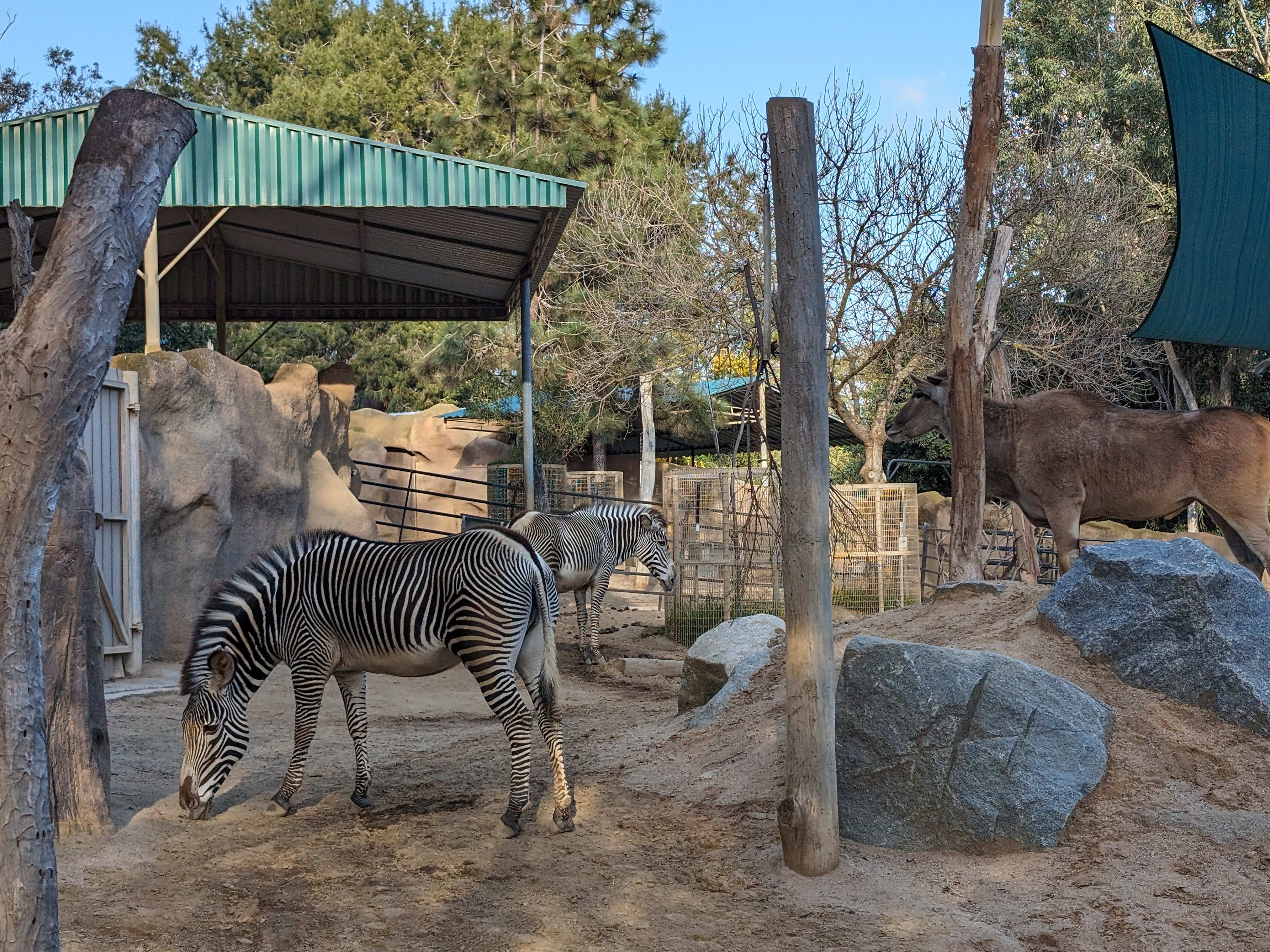 San Diego Zoo Annual Pass — Just $99 (Reg. $159) Per Person - Photo 7