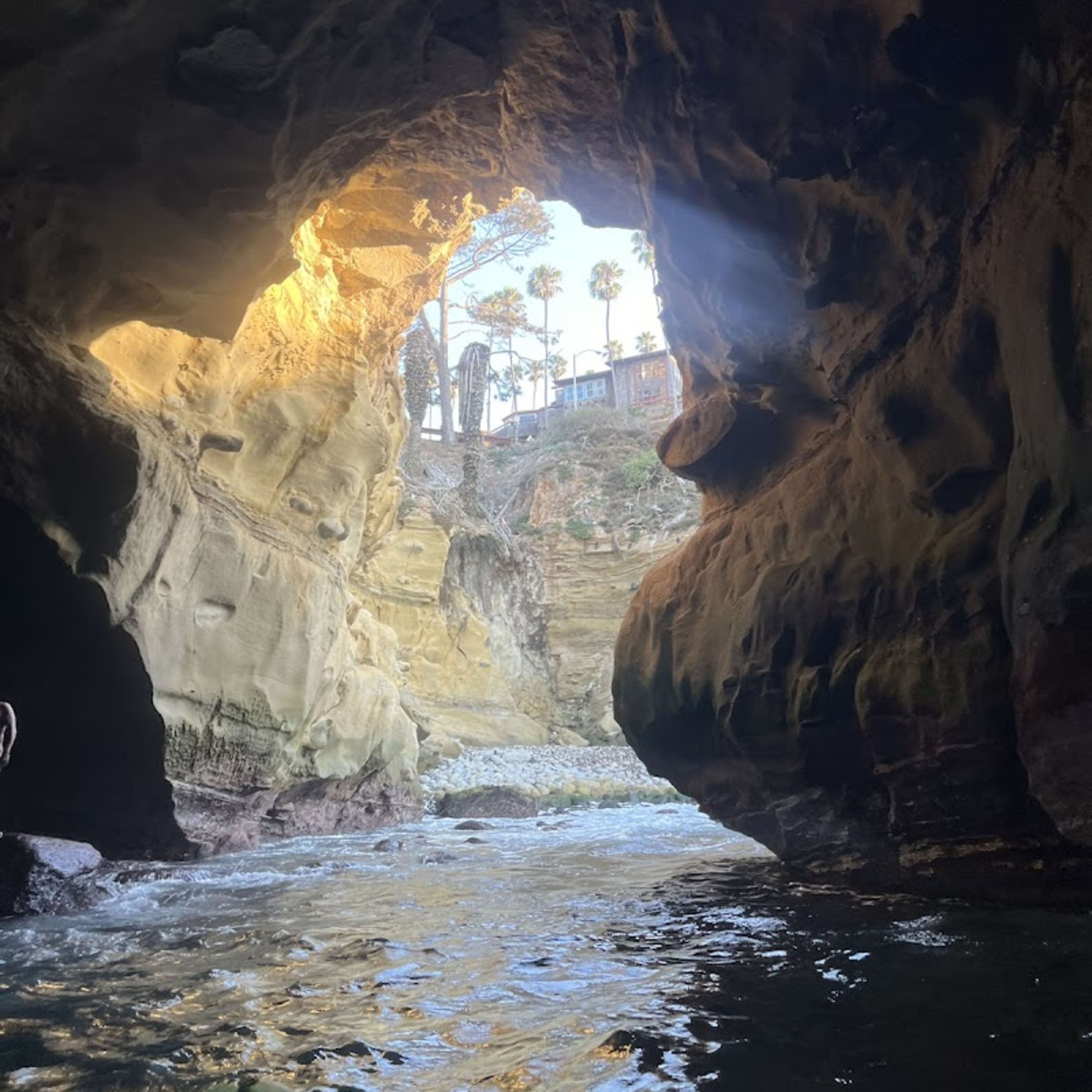 La Jolla Kayak - Photo 3
