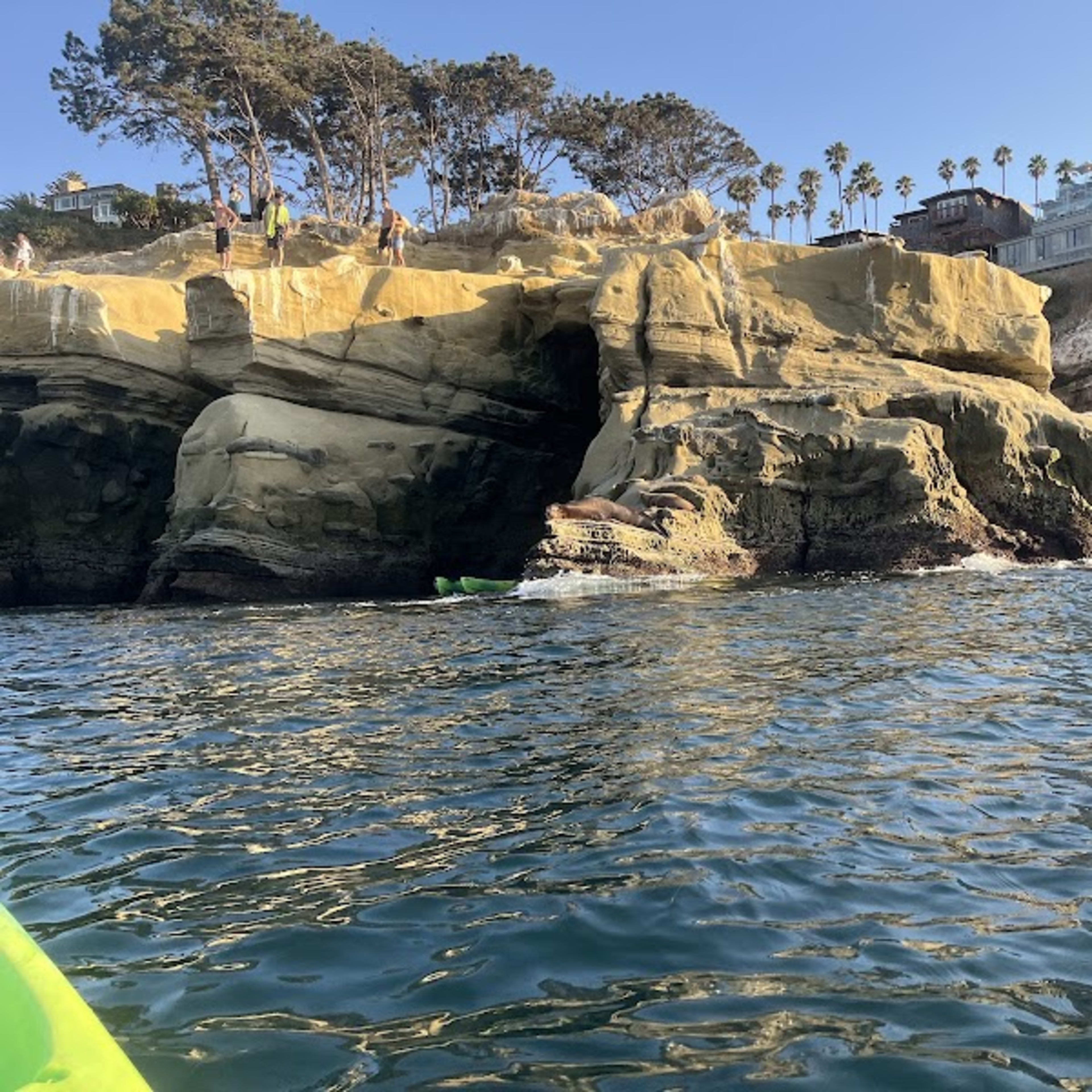 La Jolla Kayak - Photo 6