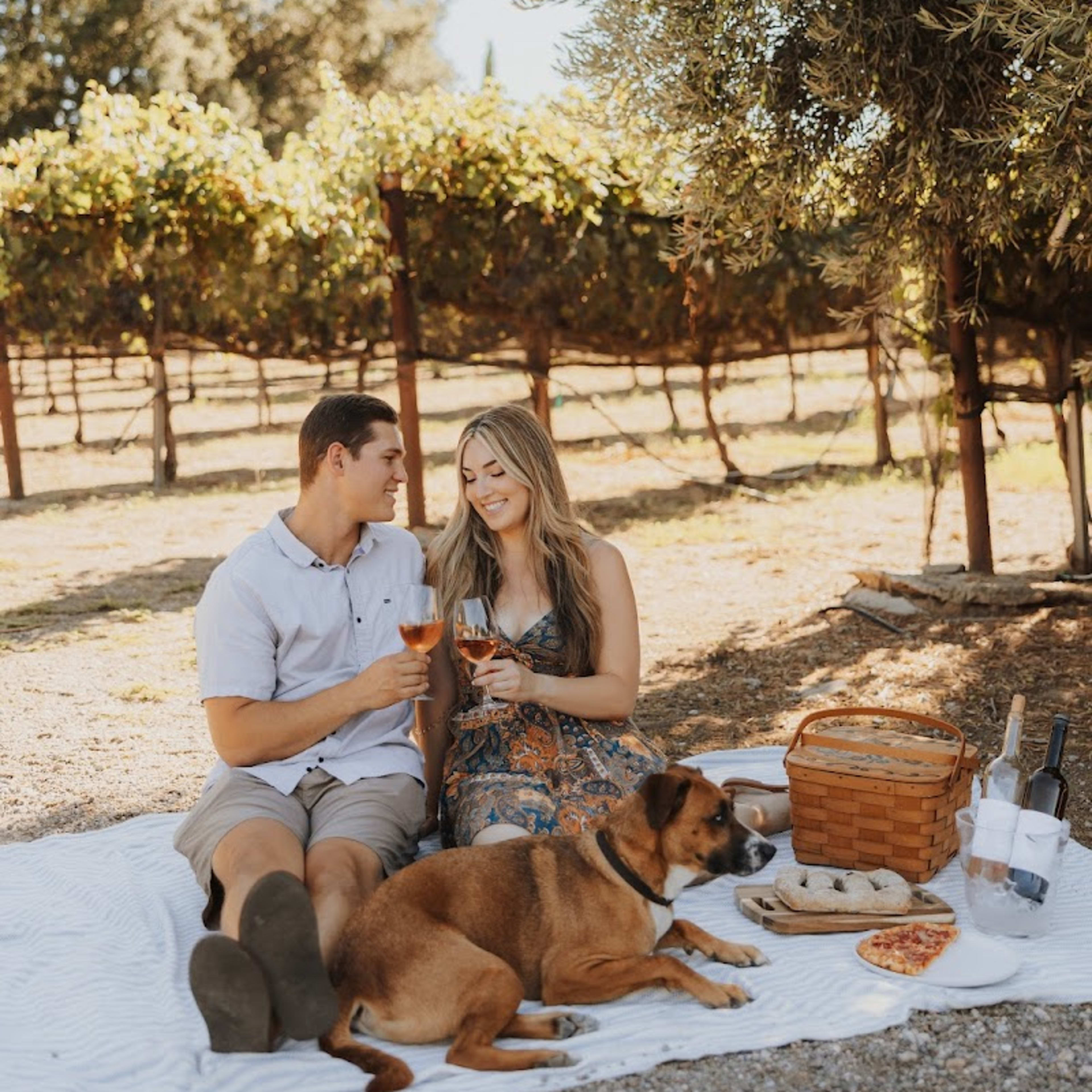 milagro winery - Photo 5