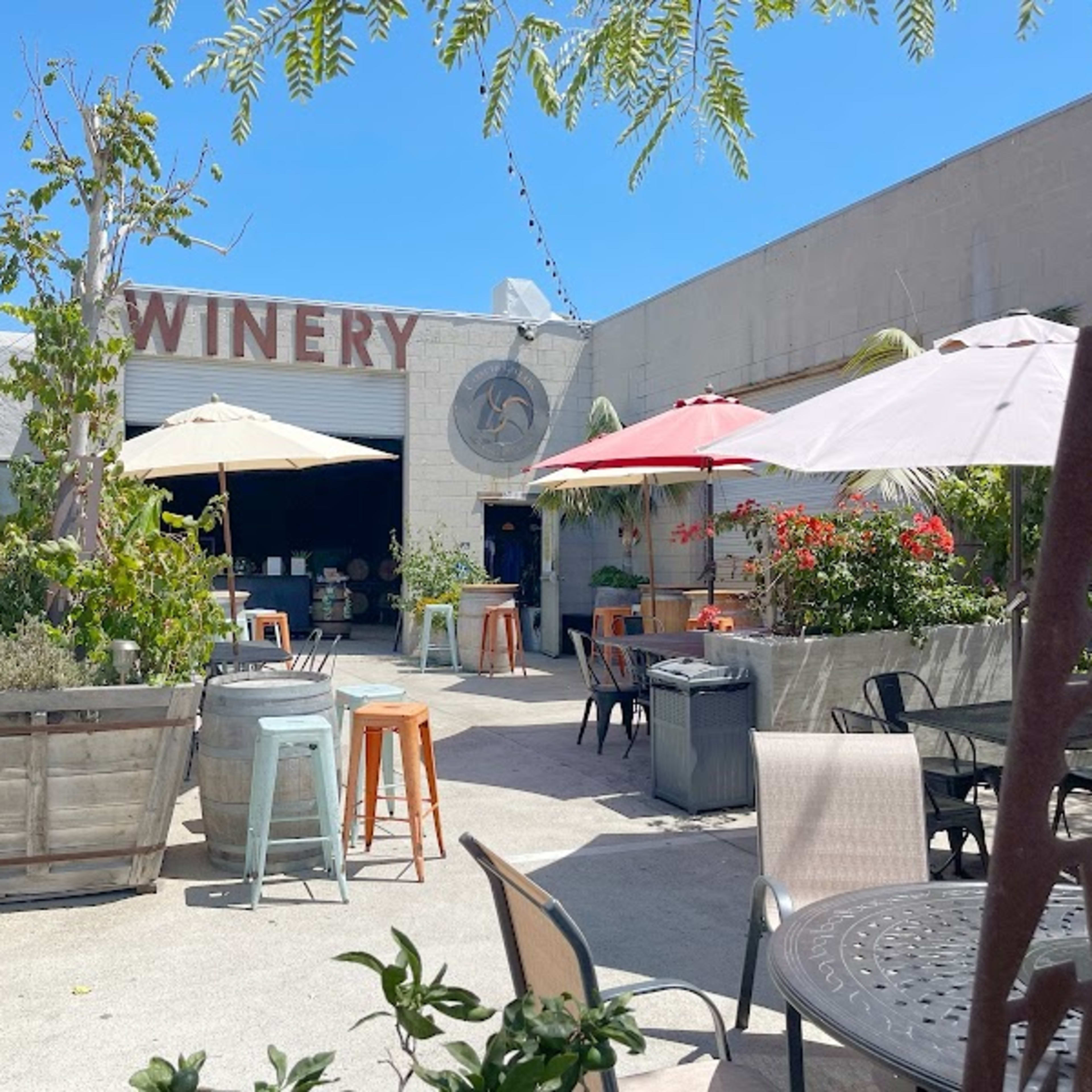 carruth cellars - Photo 3