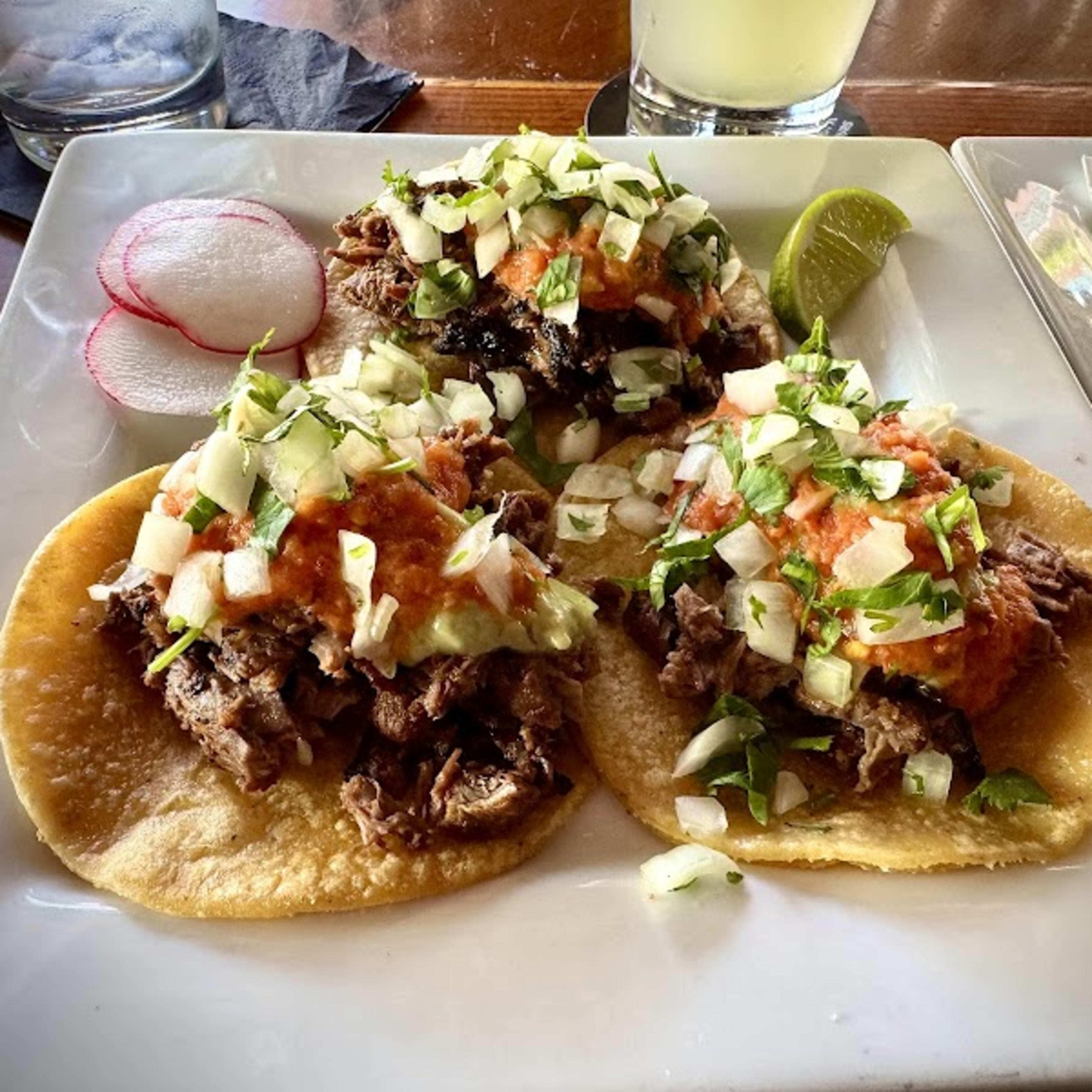 The Blind Burro - Photo 4