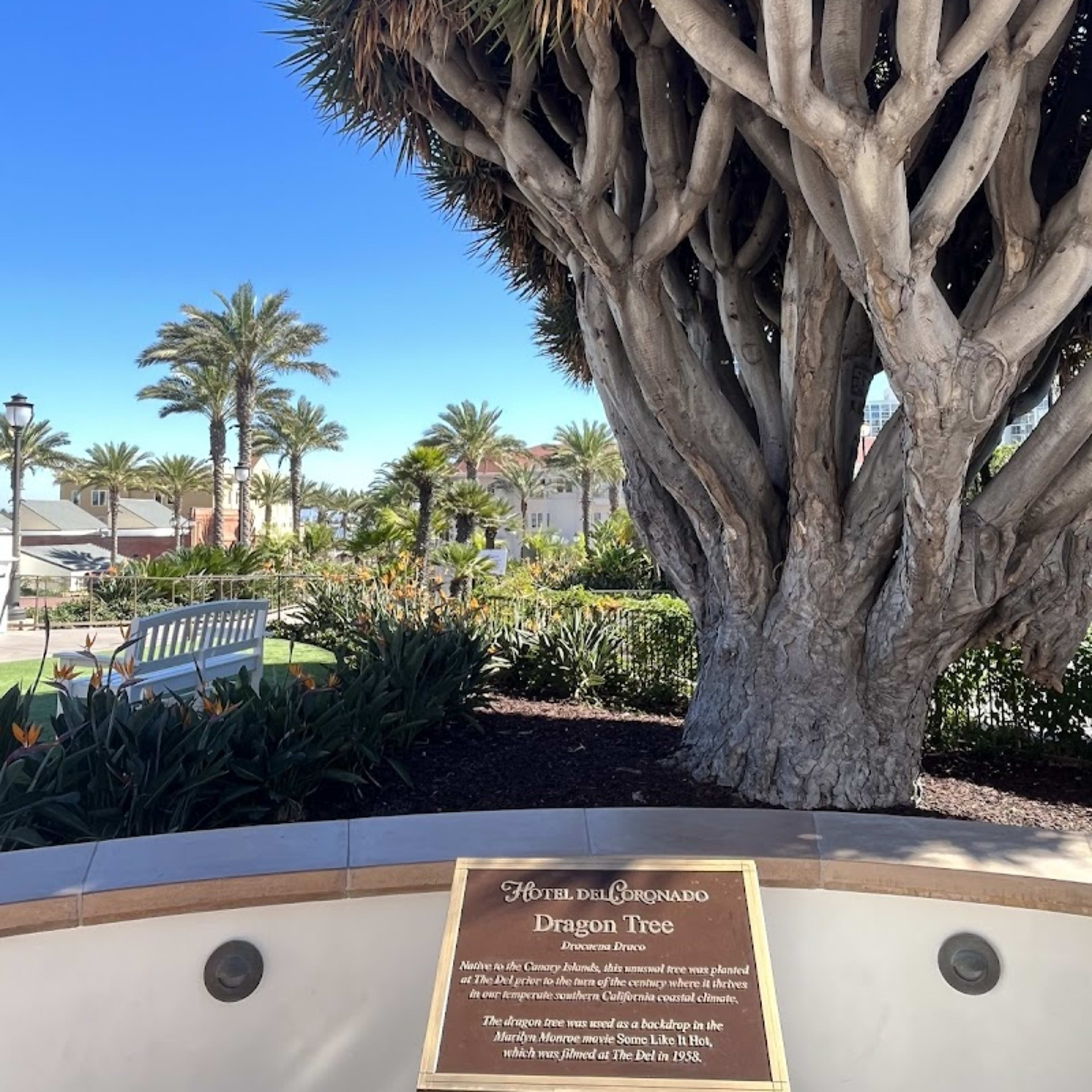 Del Coronado Hotel - Photo 9