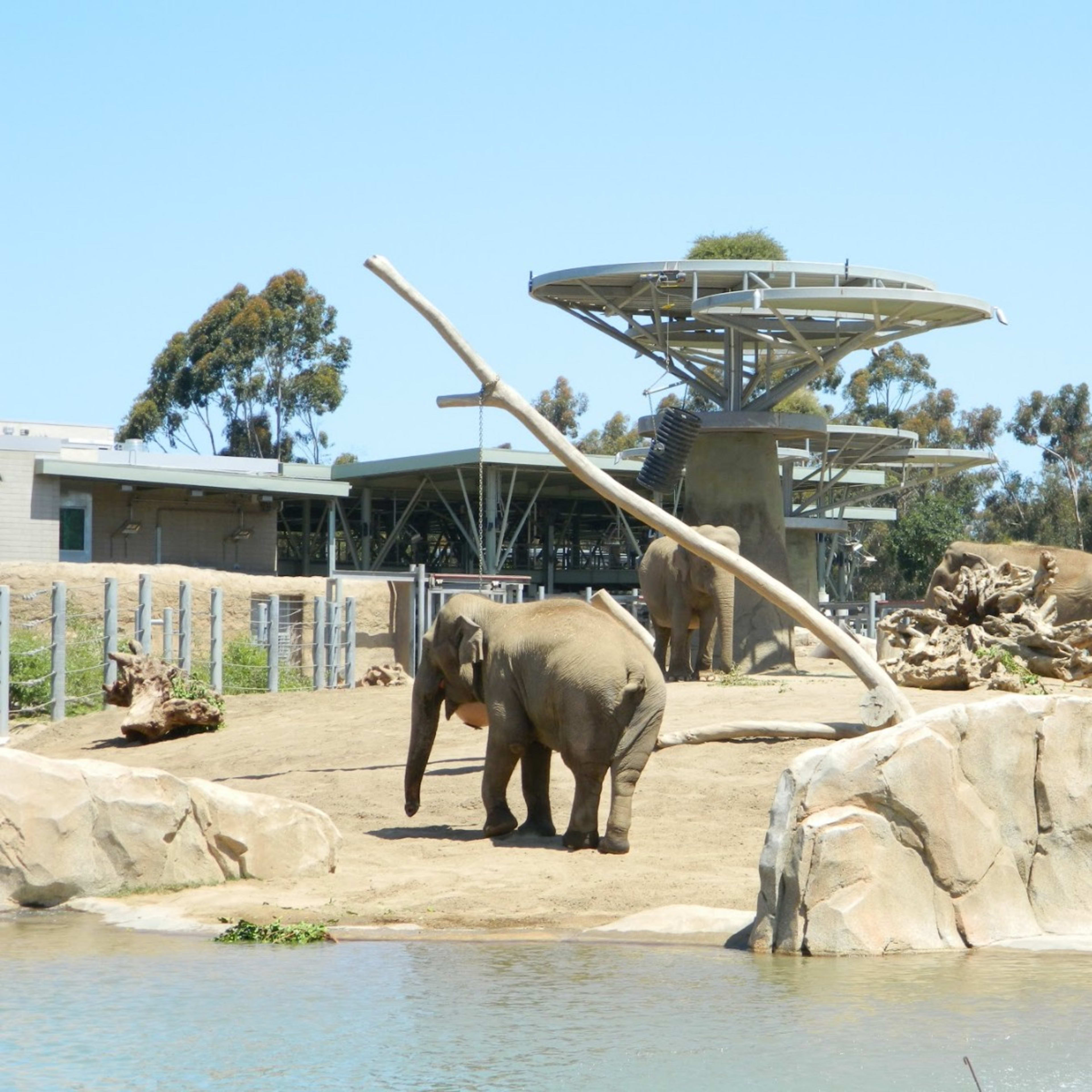 San Diego Zoo Annual Pass — Just $99 (Reg. $159) Per Person - Photo 4
