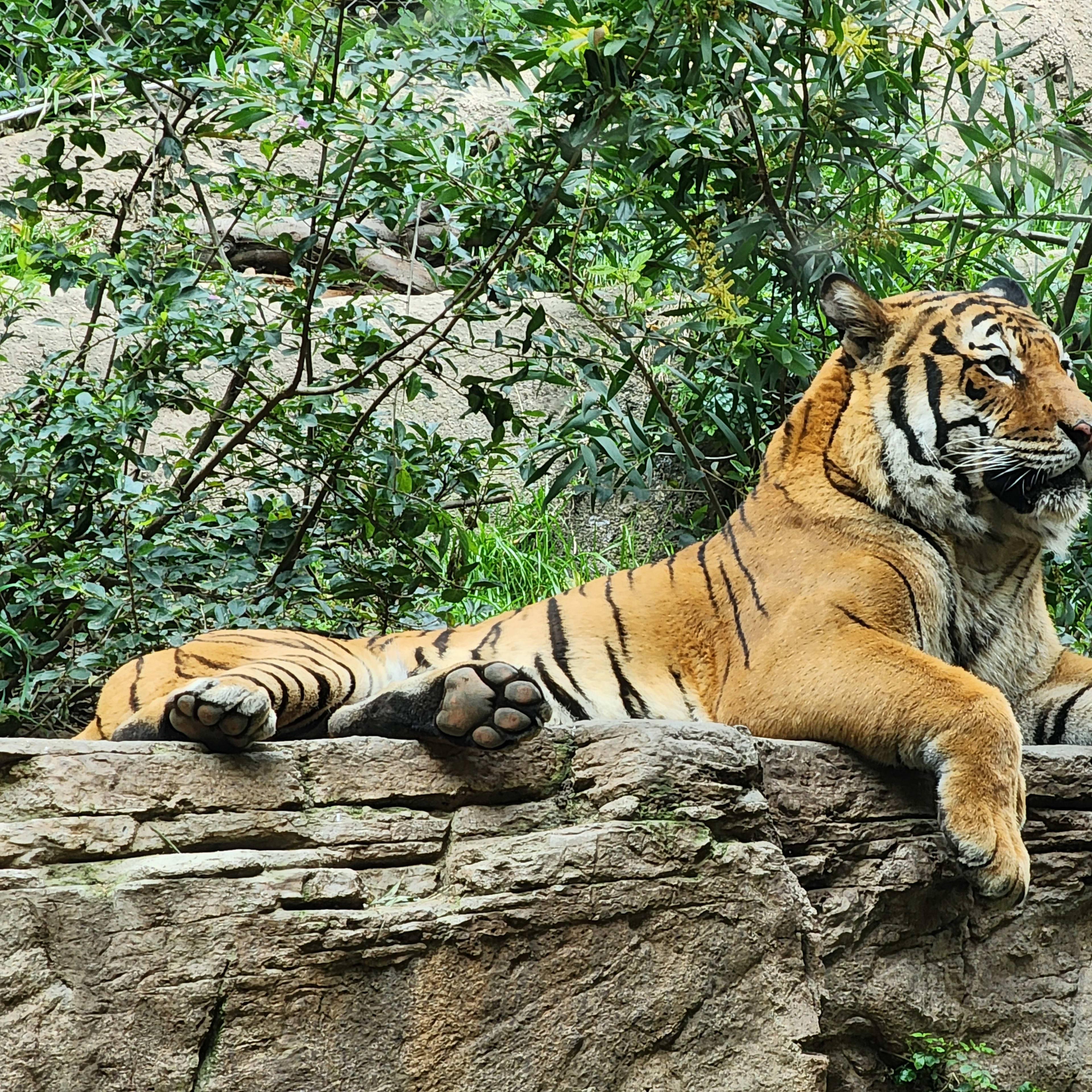 San Diego Zoo Annual Pass — Just $99 (Reg. $159) Per Person - Photo 9