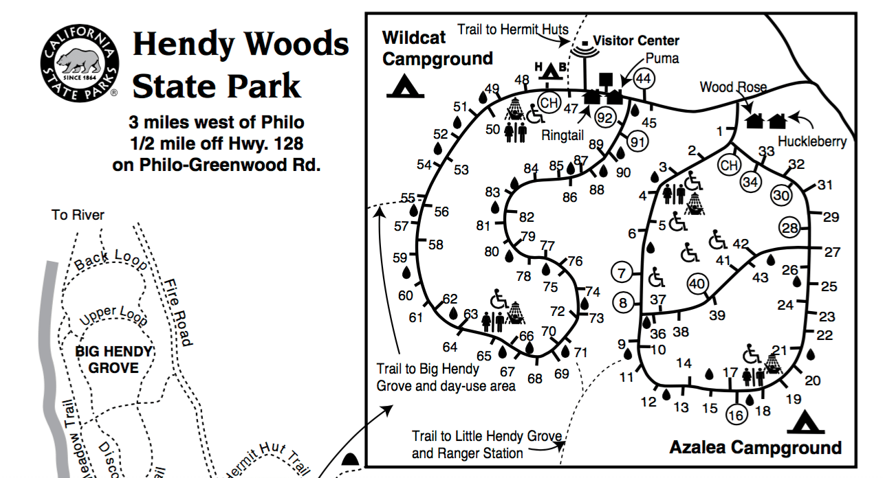 Hendy Woods State Park Campground  All You Need to Know