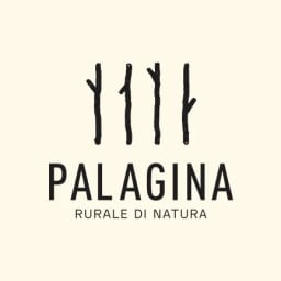 logo of Palagina Driadi