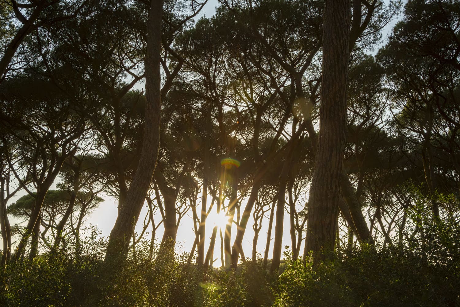 Environmental Education Workshop