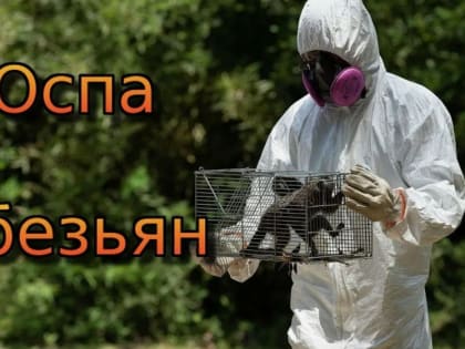 Опасность оспы обезьян: вспышка в Центральной Африке