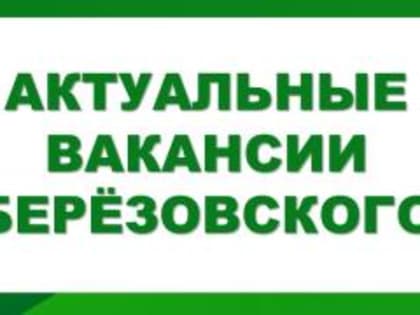 Вакансии в Березовском: новые возможности для трудоустройства