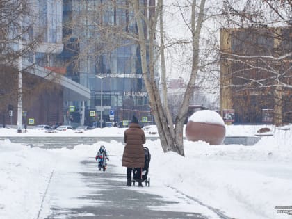 В Екатеринбурге кронируют 4,5 тысячи деревьев