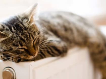 Когда отключат тепло