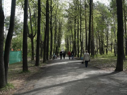 Власти Екатеринбурга призвали горожан активнее голосовать за парки и скверы