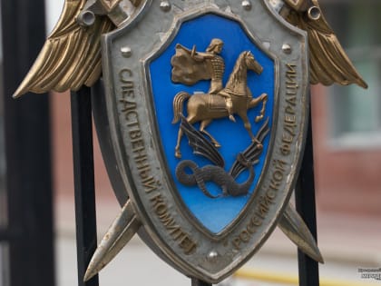 ДТП в Екатеринбурге: возбуждено уголовное дело