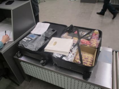 В аэропорту Екатеринбурга задержан гражданин Турции с машинками для снятия отпечатков пальцев