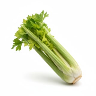 Celery