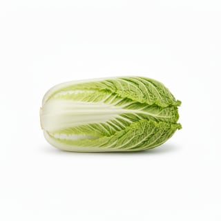 Chinese Cabbage