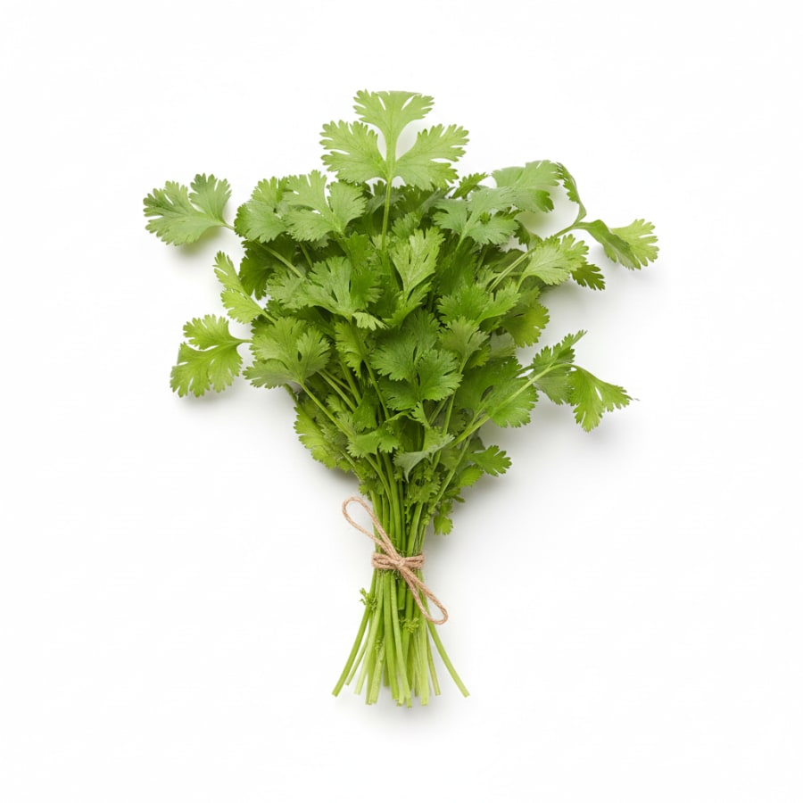 Coriander (Bunch)