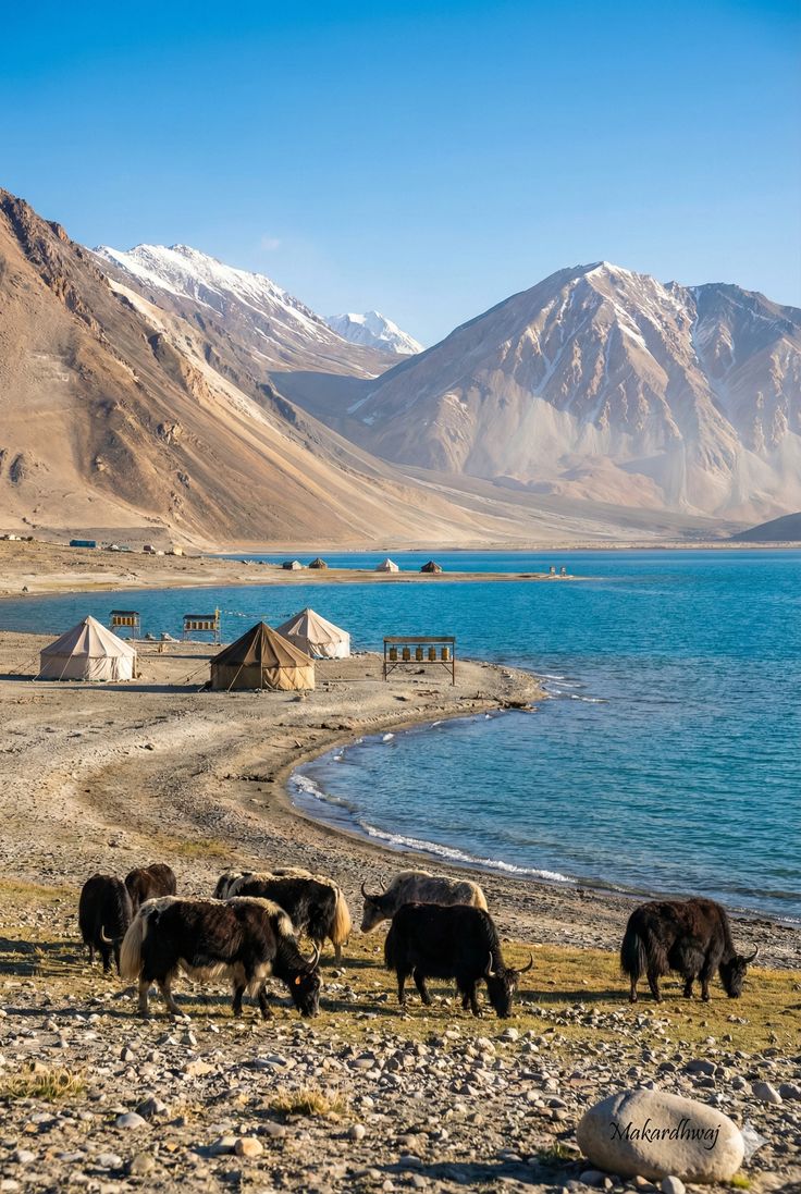 Manali to Leh Ladakh Road Trip — 9 Days, 8 Nights