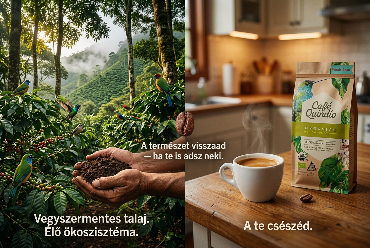 Café Quindío Descafeinado koffeinmentes kávékapszula – 10 db csomag