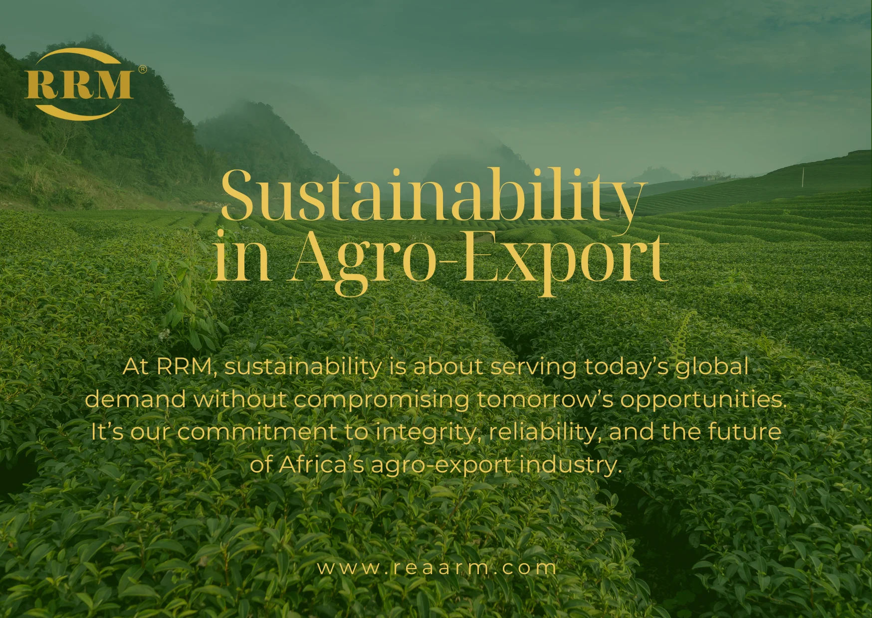 Sustainability in Agro-Export