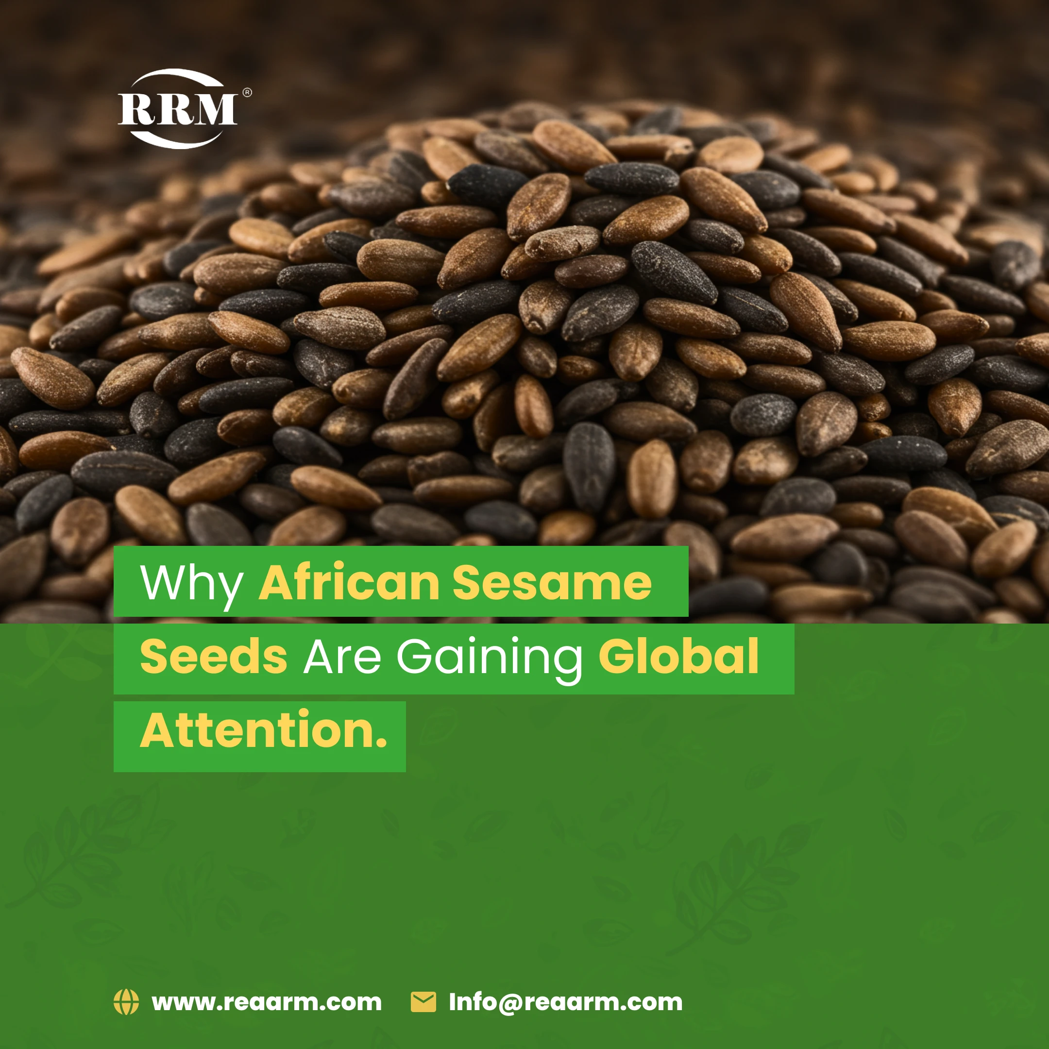 Why African Sesame Seeds Are Gaining Global Attention