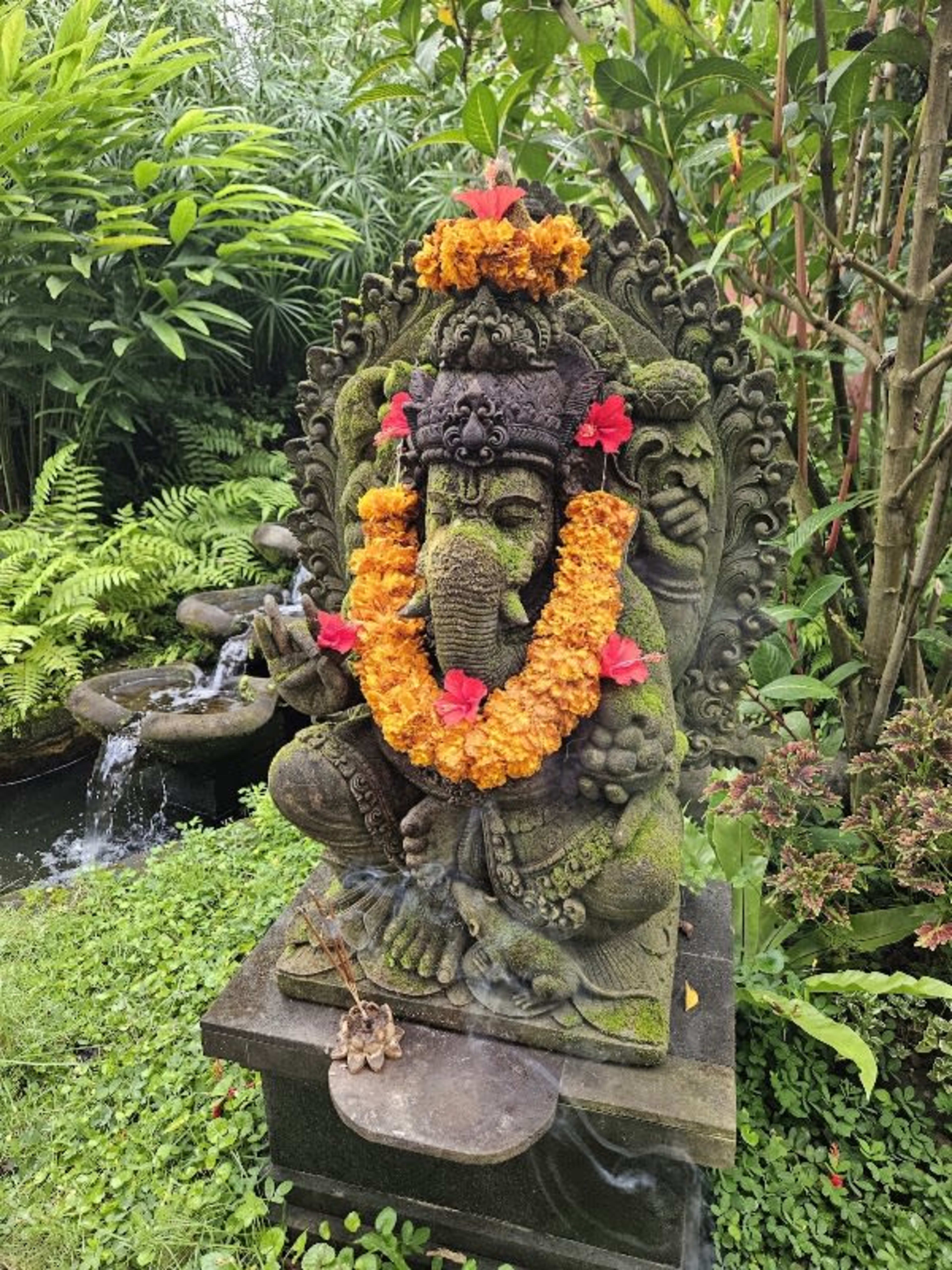 Alchemy Yoga and Meditation Center 4