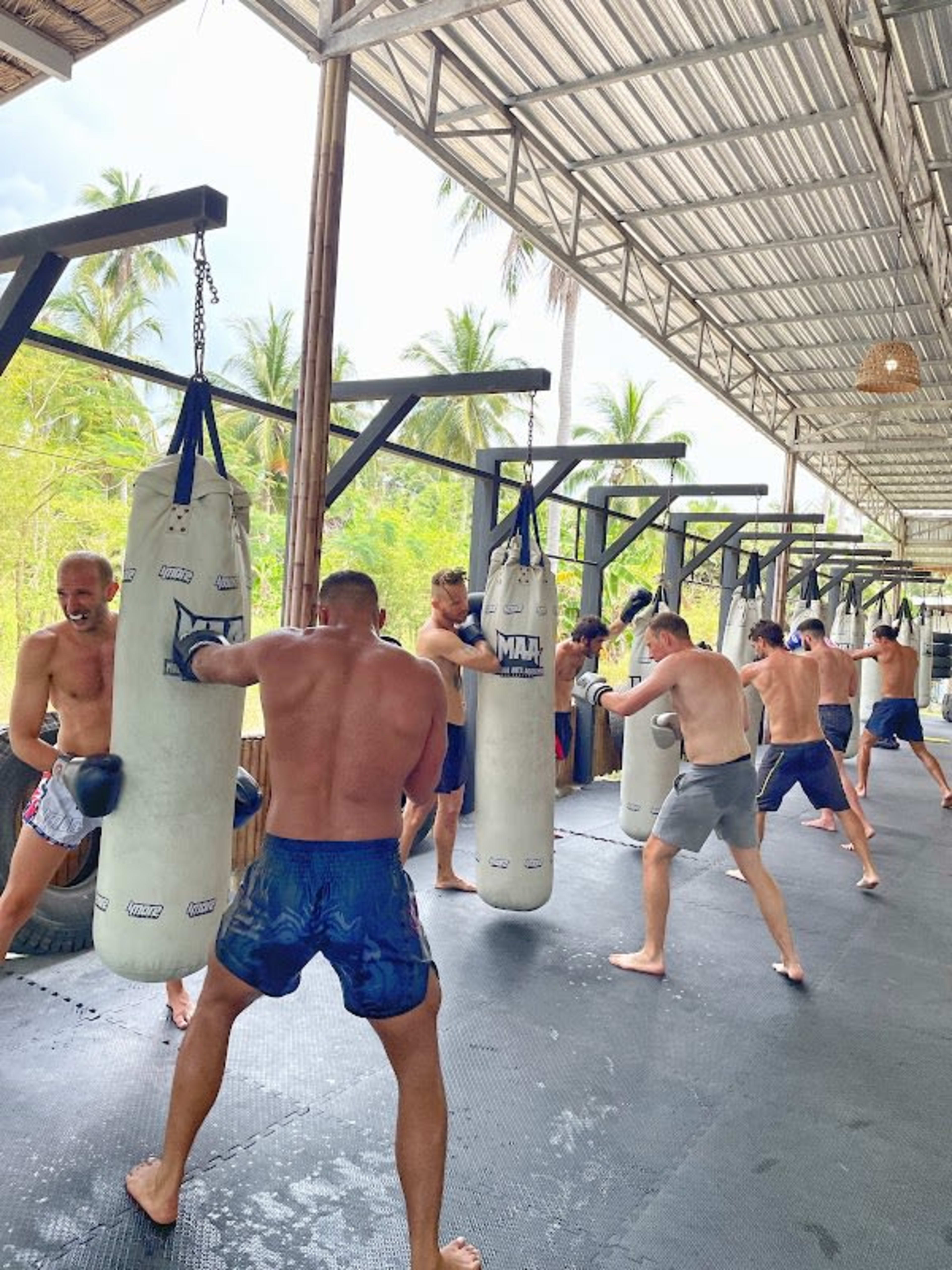 Martial Arts Academy 6