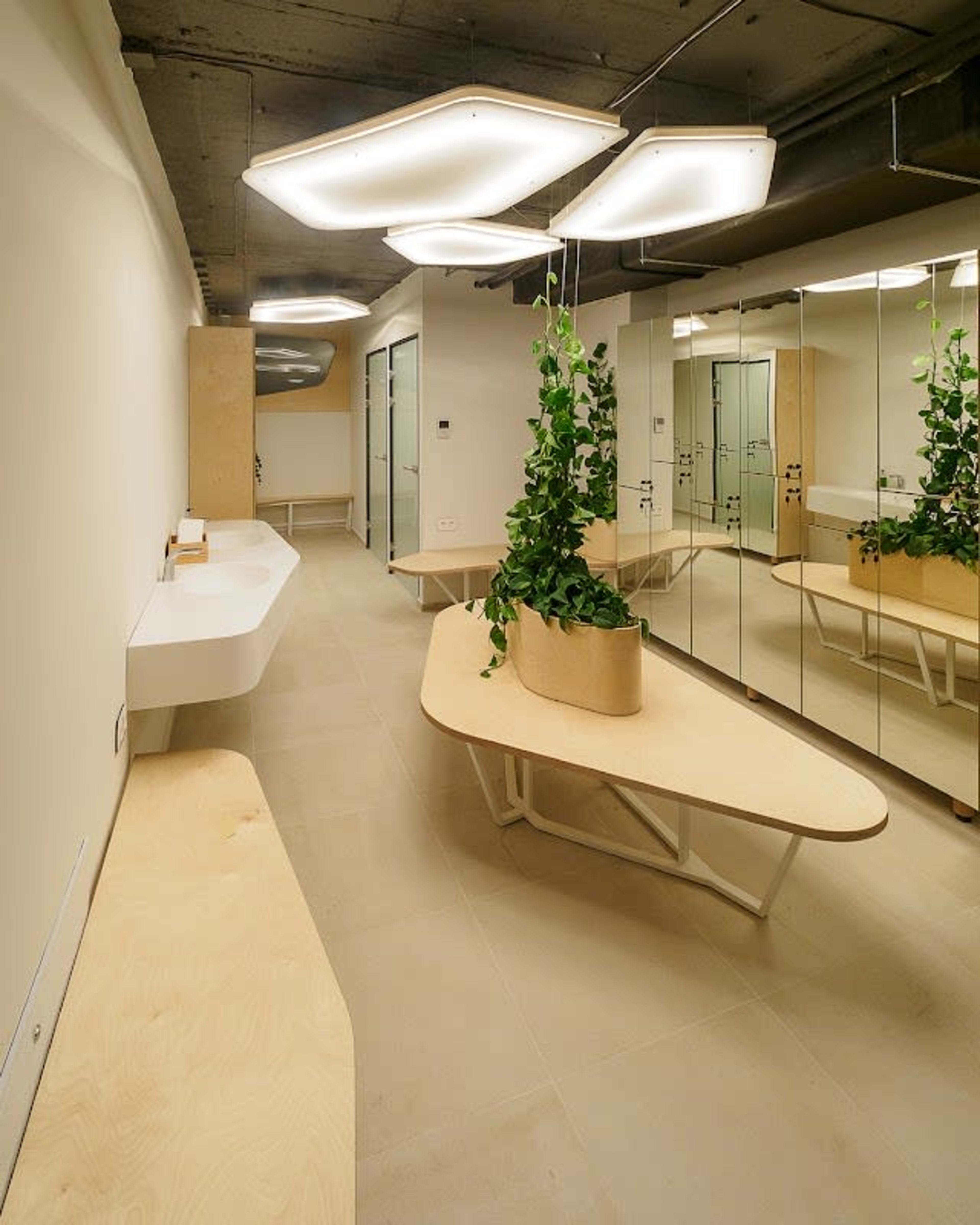 BalanSense Studio 6